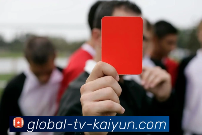 开云官网APP 封面图